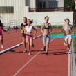 Tess s Holkama